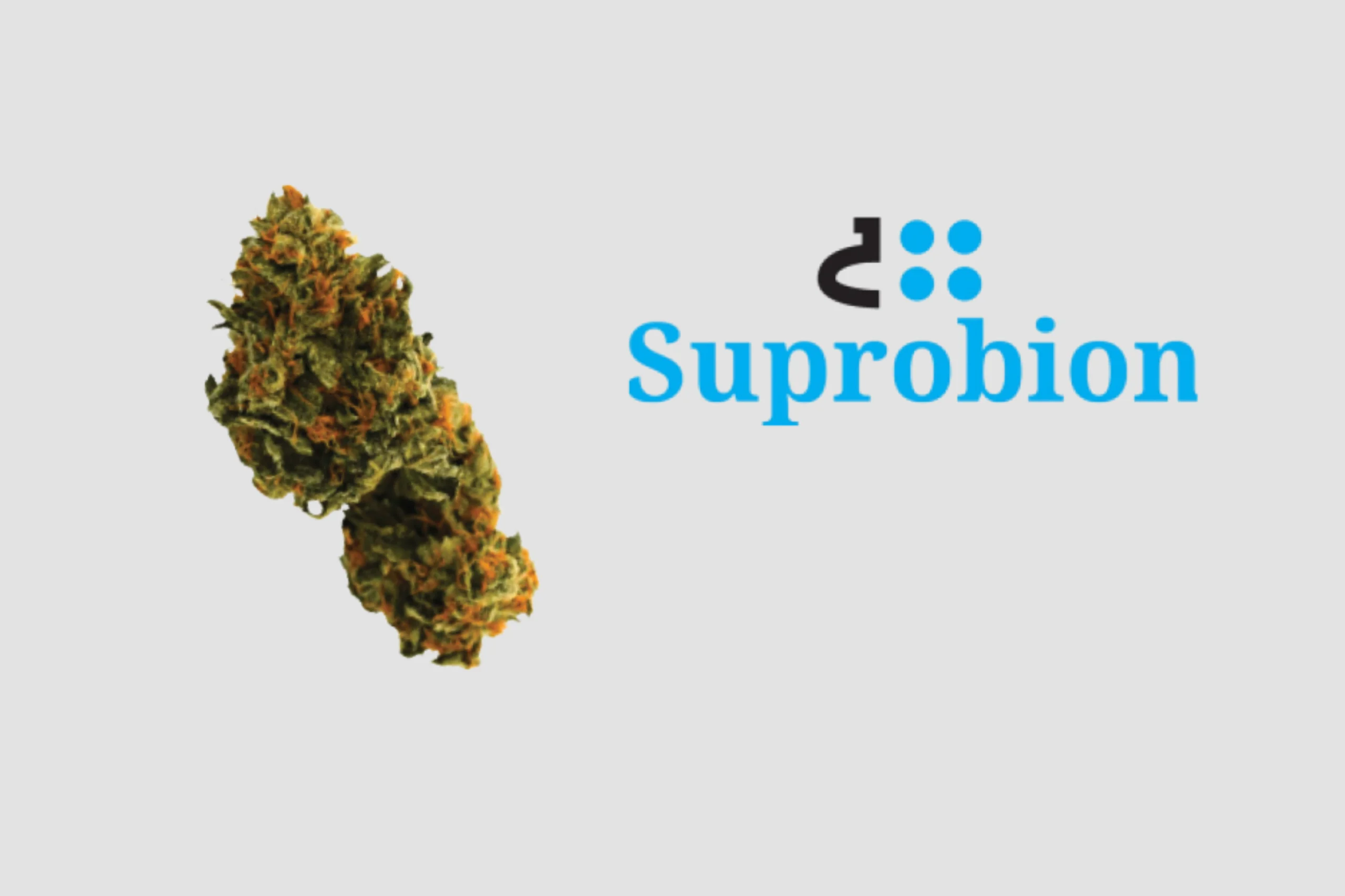 Gorilla Glue Suprobion