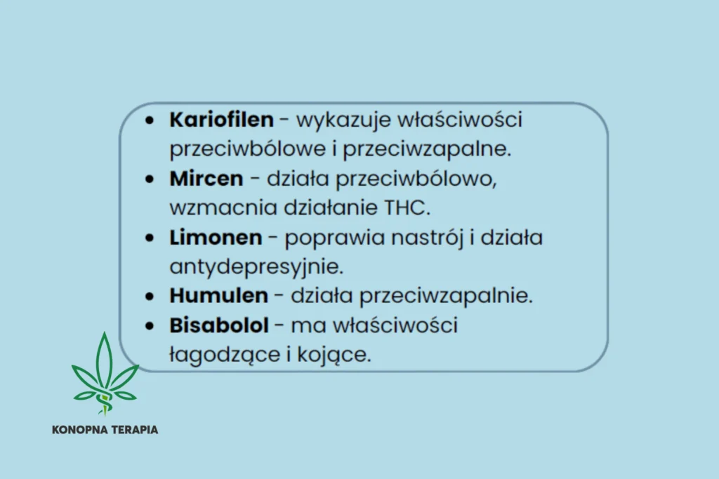 gorilla glue suprobion